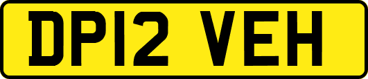 DP12VEH
