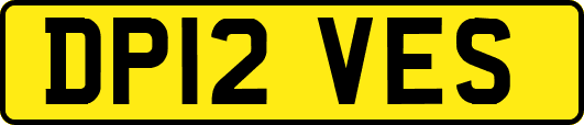 DP12VES