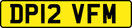 DP12VFM