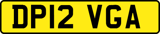 DP12VGA