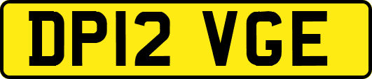 DP12VGE