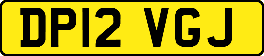 DP12VGJ
