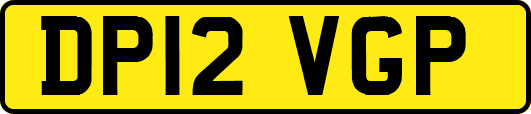 DP12VGP
