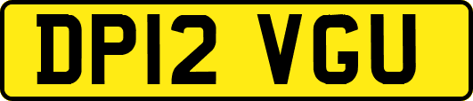 DP12VGU