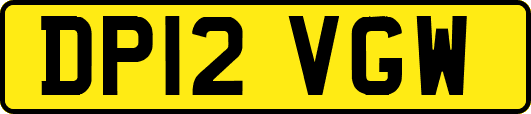 DP12VGW