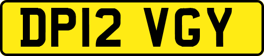 DP12VGY