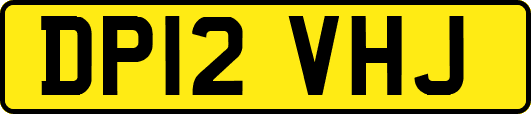 DP12VHJ