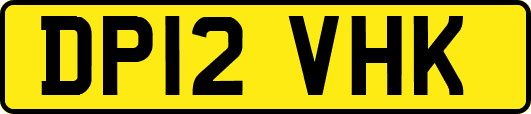 DP12VHK