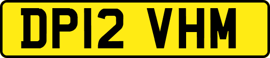 DP12VHM