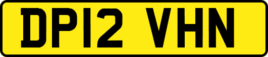 DP12VHN
