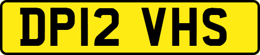 DP12VHS