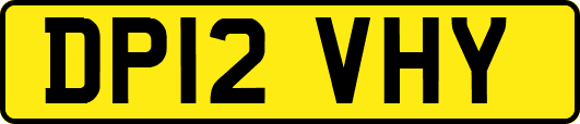 DP12VHY