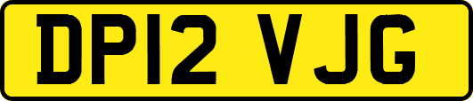 DP12VJG