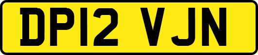 DP12VJN