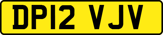 DP12VJV