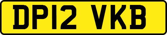 DP12VKB