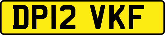 DP12VKF