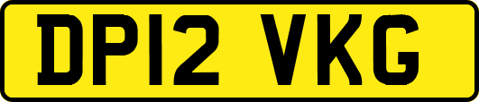 DP12VKG