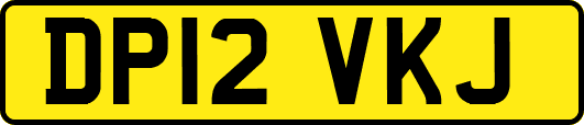 DP12VKJ