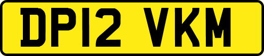 DP12VKM