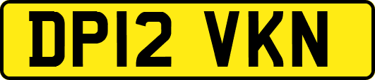 DP12VKN