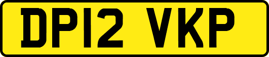 DP12VKP