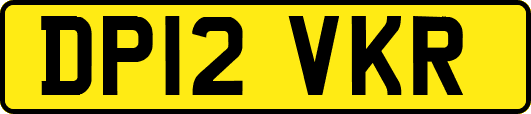 DP12VKR
