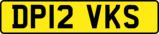 DP12VKS