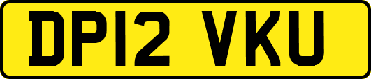 DP12VKU