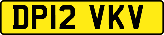 DP12VKV