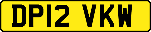 DP12VKW