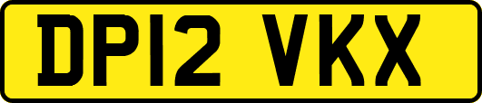 DP12VKX