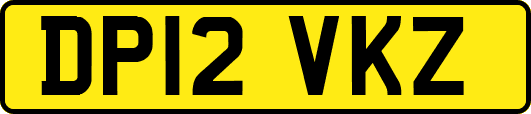 DP12VKZ