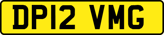 DP12VMG