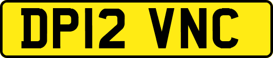 DP12VNC