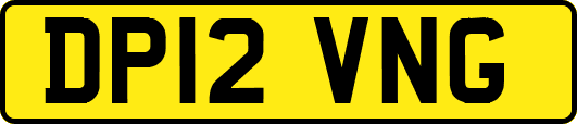 DP12VNG