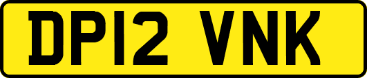DP12VNK