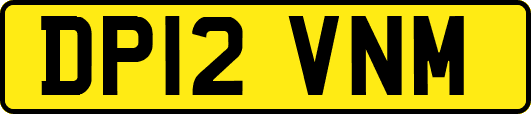 DP12VNM