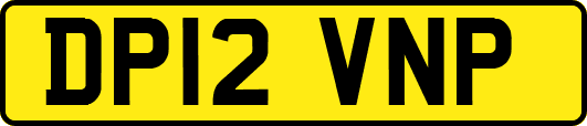 DP12VNP