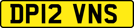 DP12VNS