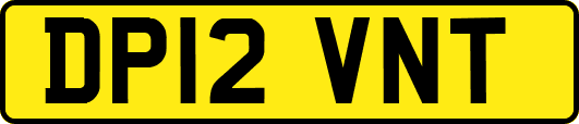 DP12VNT
