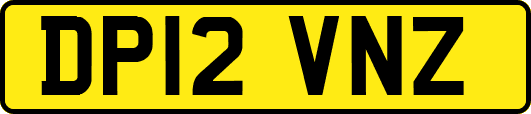 DP12VNZ