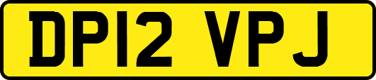 DP12VPJ
