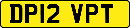 DP12VPT