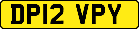DP12VPY