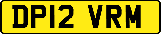 DP12VRM