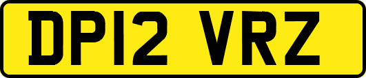 DP12VRZ