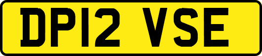 DP12VSE