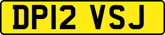 DP12VSJ