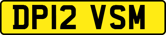 DP12VSM